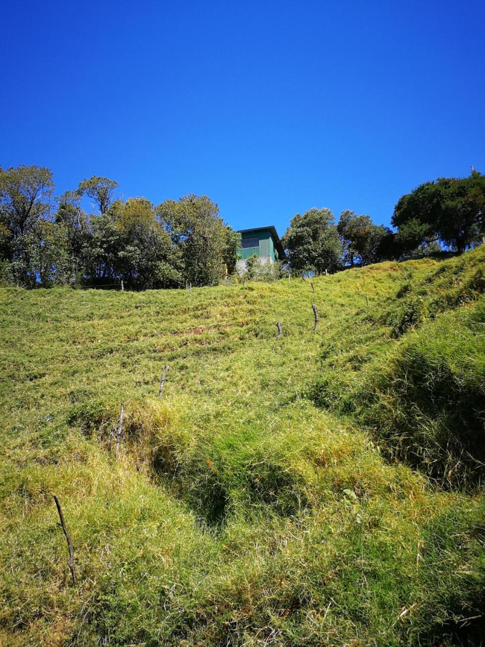 Monteverde Monte Green Eksteriør billede